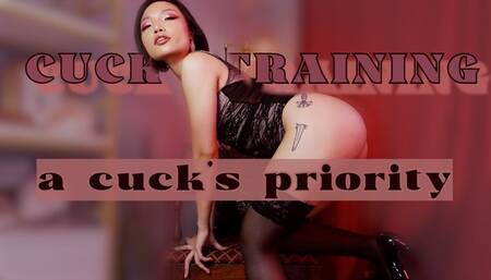 CUCK TRAINING: Cuck's Priority