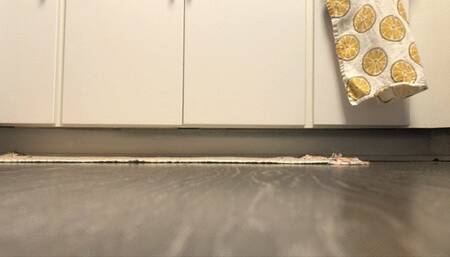 Giantess Catches You in Her Kitchen