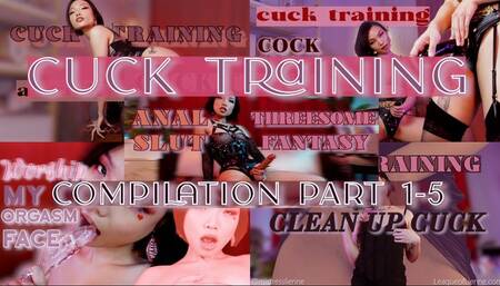 CUCK TRAINING COMPILATION