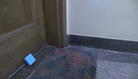 Jamies Trained Malady