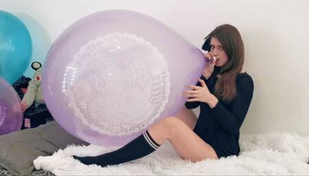 Cosette BTP's crystal purple printed Belbal 24'' - 480p