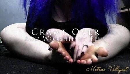 Crawl Over And Worship My Feet (wmv)