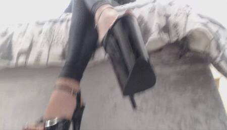 A pay pigs life (AVI)