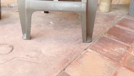 Sealed with a Kiss Pantyhose BBW Goddess Balbina