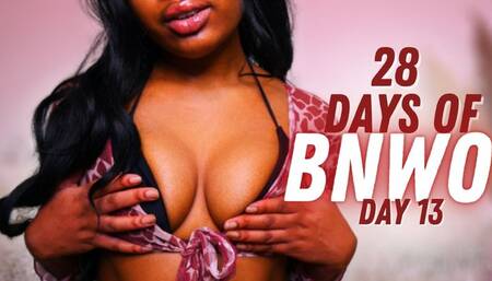 28 Days of BNWO | Reparation Day 13