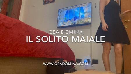 GEA DOMINA - YOU ARE THE SAME PIG