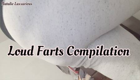 Loud Fart Compilation