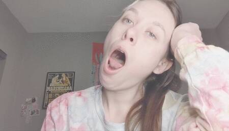 Cozy Yawning Closeups