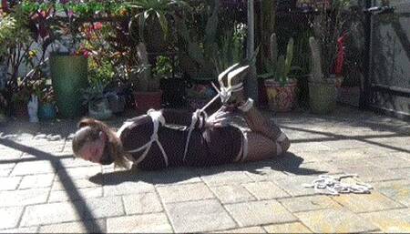 Cruelly hogtied in her LBD out in the garden (MP4 HD 14000kbps)