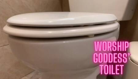 Worship Goddess' Toilet