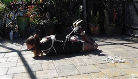 Cruelly hogtied in her LBD out in the garden (WMV HD 8000kbps)