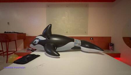 Owllete bounces and deflates Sofi's whale