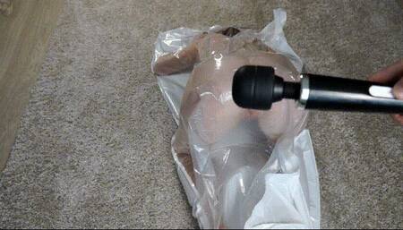 Cat pose and vibrator in a vacuum bag