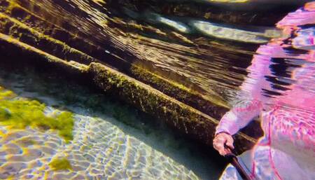 Carissa in the Spring 2