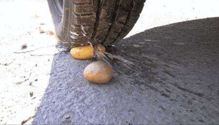 Fruits & veggies under my merciless tires