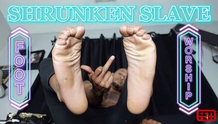 Feti Shrunken Slave-Tempo 1080