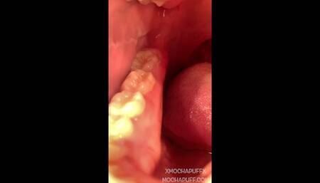 Teeth Tour (oral fixation)