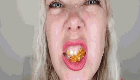 Sweet bears are in danger-2 MP4(1280*720)HD