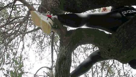 Stuck on a tree MP4(1280*720)HD