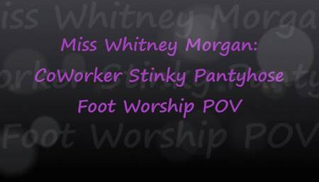 CoWorker Stinky Pantyhose Worship POV Milking - mp4