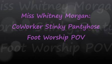 CoWorker Stinky Pantyhose Worship POV Milking - wmv