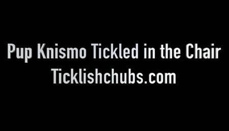 Pup Knismo Tickled