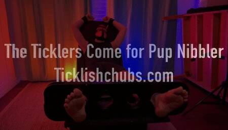 The Ticklers Come for Pup Nibbler