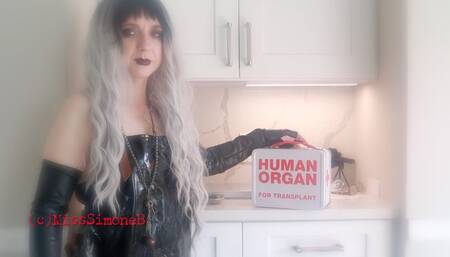 Lab Rat Experiments (low res version) mov