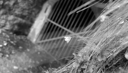 Case Miss(ing) Diamondly PART 1 avi