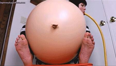 Daphney Rose Tests The Fat Formula ( Belly Bloating Stomach Expansion ) -MOV 1920x1080p