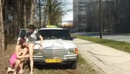 Gambling miss's reality trailer