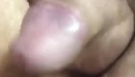 Assplay 2