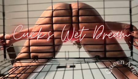 Cuck's Wet Dream (Audio Only)