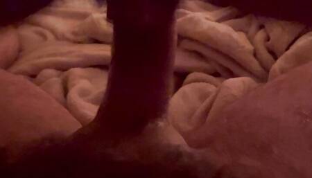 New video 2023-03-01 09:33:28