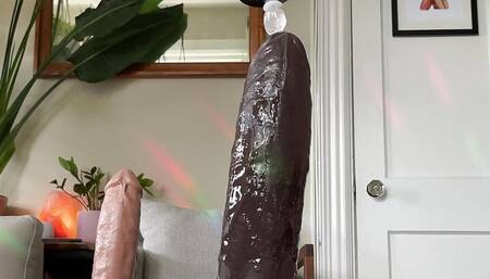 huge dildo with multiple handsfree cumshots cutler x mr. hankey