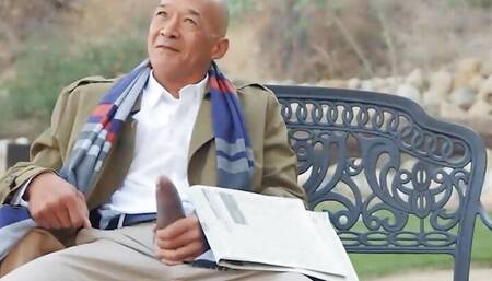 Busty Ebony Mystique Squirts At The Park Before Giving A Dirty Old Man The Fuck Of His Life - Brazzers