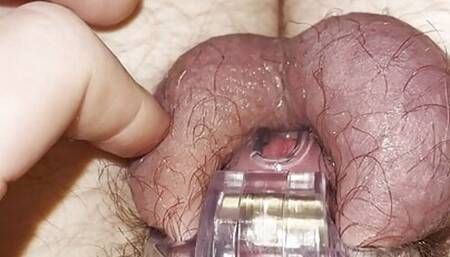 My micropenis leaking in tiny chastity