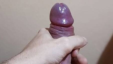 Cock sperm