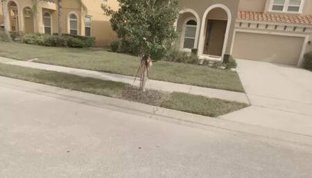 Helenas Cock Quest - Helena Price - Privileged white woman KAREN learns her lesson wh