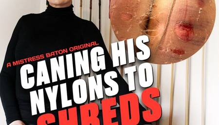 Caning His Nylons To Shreds HD (for Windows)