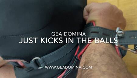 GEA DOMINA - JUST KICKS IN THE BALLS (MOBILE)