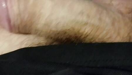 Security cock worship