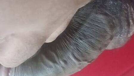 some of the caresses I've been receiving