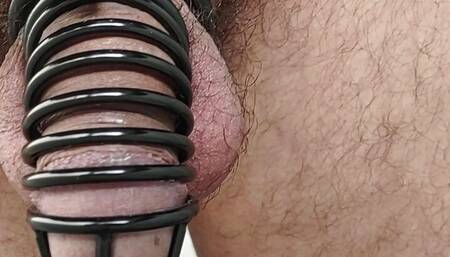 Caged cock to become a sissy slut