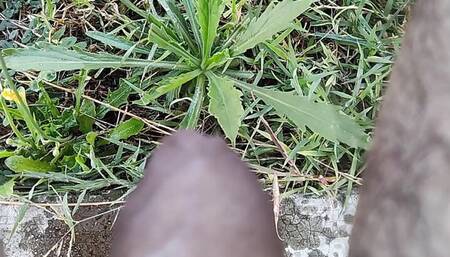 Peeing outdoors on the grass