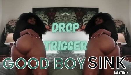 Good Boy Sink Mesmerizing Trigger Implant