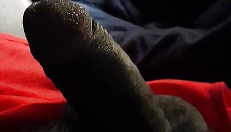 Dick Training