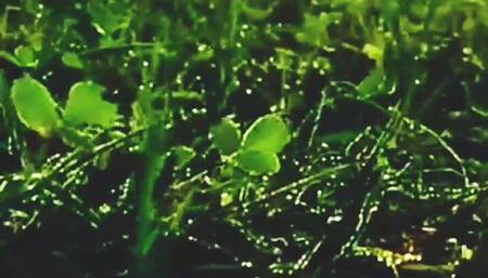 Beautifull Bollywood actress sex with me I'm hard fucked full day