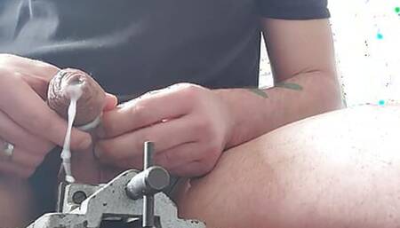 Cock torture