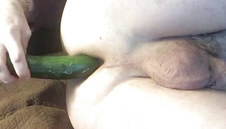 Zucchini fun 1